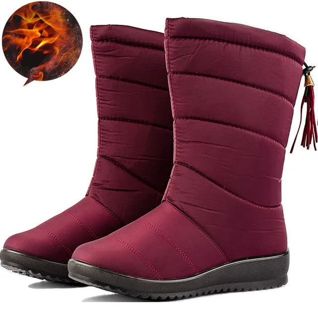 Women Tassel Pull On Snow Boots Comfortable Warm Round Toe Waterproof Short Winter Boots
